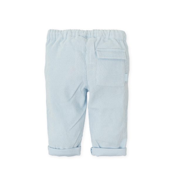 Tutto Piccolo 8111 Winter Cord Trousers Sky Blue - Image 4